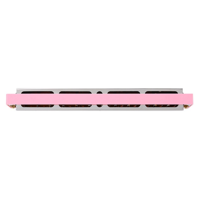 24 Holes Key of C Metal Harmonica Mouth Organ Children