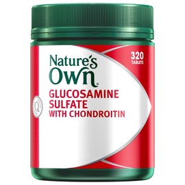 Nature's Own Glucosamine Sulfate with Chondroitin Tab X 320