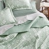 Bedsure Floral Quilt Set Queen - Reversible Mint Green Botanical