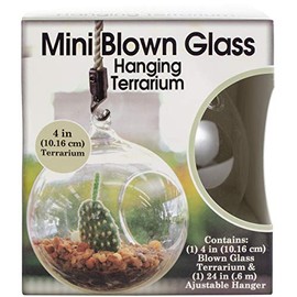 Mini Blown Glass Hanging Terrarium-