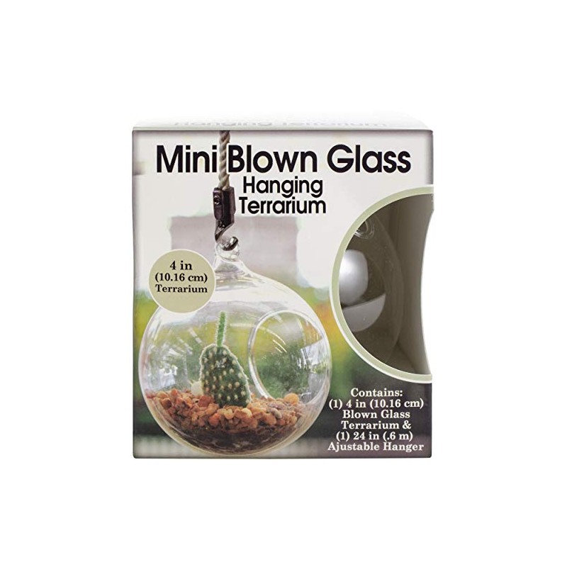 Mini Blown Glass Hanging Terrarium-