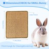 Rabbit-Scratching-Pad, Natural Wood Chew & Scratch Board for Bunnies, Bunny