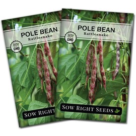 Sow Right Seeds - Rattlesnake Pole Bean Seeds for Planting - Non-GMO Heirloom Packet with Instructions to Plant an Outdoor Home Vegetable Garden - Stringless Variety - Tender with Purple Streaks (2)