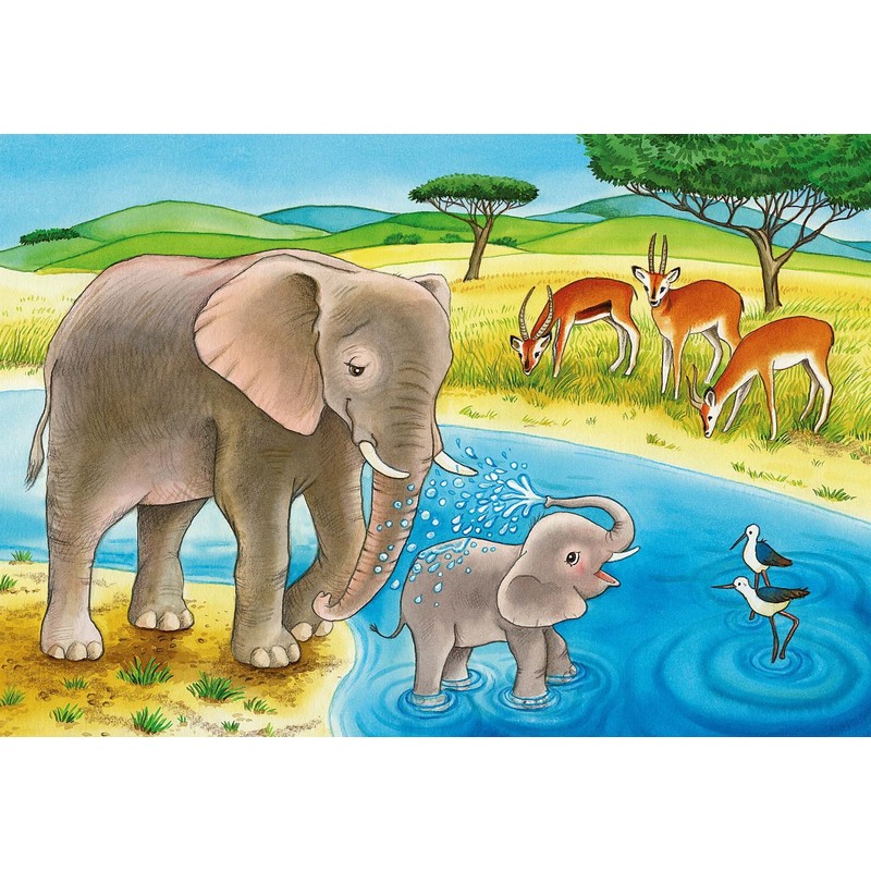 Ravensburger 76062 "Elephant, Lion And Co. Puzzle (2 x 12-Piece)