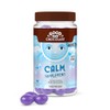 Good Day Chocolate Natural Calming Supplement for Adults, Blend of