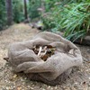 Selections Compostable Leaf Sacks Bags (Pack of 20)