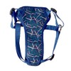 Boots & Barkley Cat & Dog Harness - Teal -