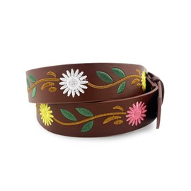 Beautiful Nomad Belts for Women Western Fashion Boho Embroidery PU Leather Belt for Jeans Dress
