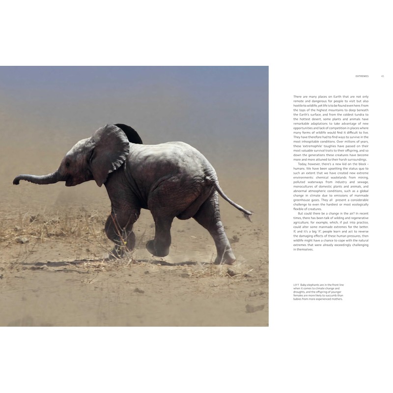 Planet Earth III (Planet Earth, 3)