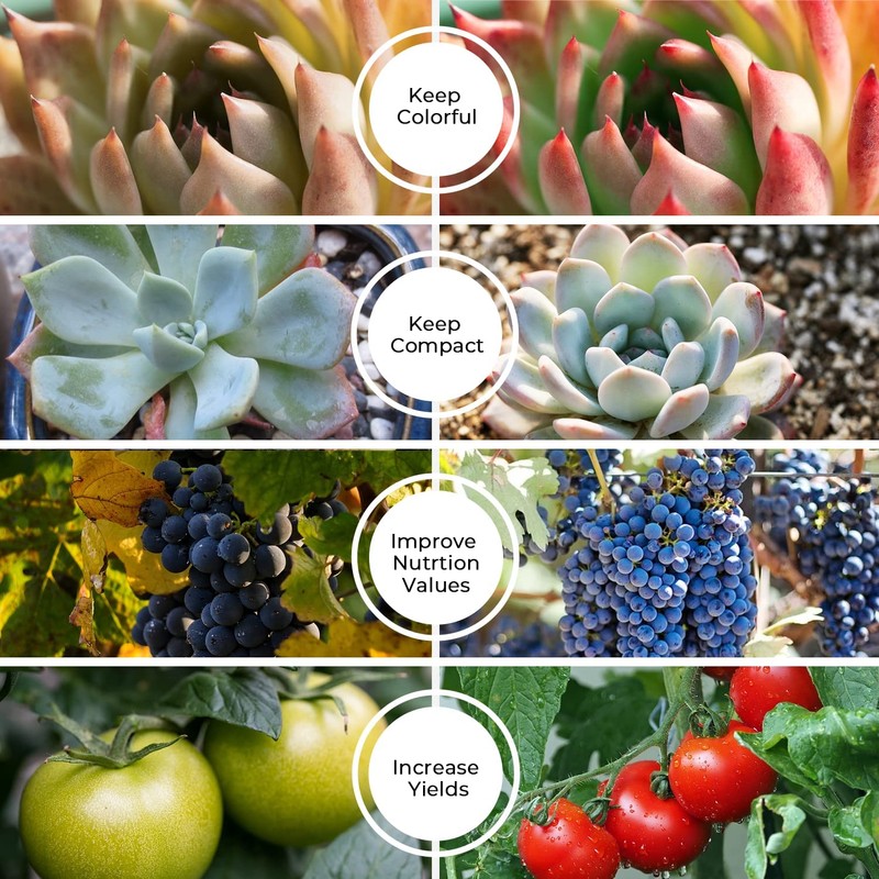 iPower Full Spectrum Clip Plant Growing Lamp with 84 White