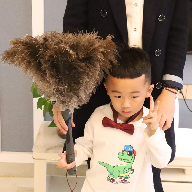 Midoneat Ostrich Feather Duster, Big and Soft and Fluffy Microfiber