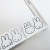 Okato Miffy [70th Anniversary Limited Design] Dish Towel Hanger, Folds