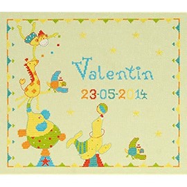 DMC First Name Sampler Cross Stitch Kit, 100 Percent Cotton, Multi-Colour