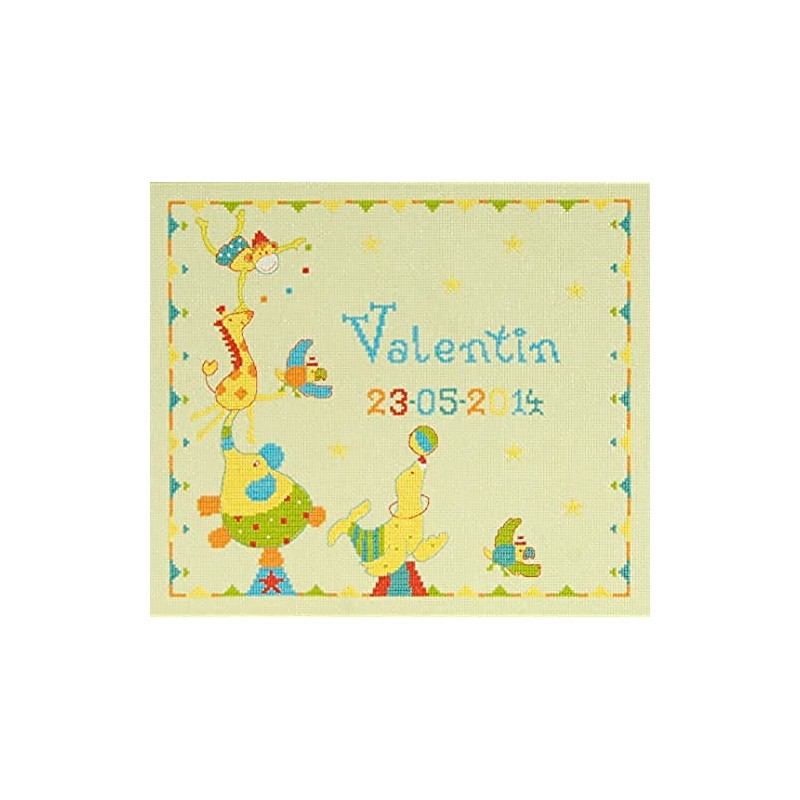 DMC First Name Sampler Cross Stitch Kit, 100 Percent Cotton,