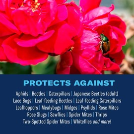 BioAdvanced 3-In-1 Insect, Disease and Mite Control, Fungicide, Ready-to-Use, 24 oz
