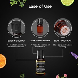 Organic Forest Pack of 4 Essential Oil Set | Citronella, Clove, Oregano and Camphor Essential Oil Gift Set | Essential Oils for Diffusers for Home | Massage Oil | Aromatherapy Diffuser Oil Gift Set