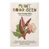 Plant Good Seed Jing Orange Okra Seeds