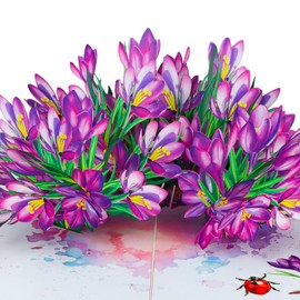 DISJOURNEY Pop Up Flower Greeting Card - Mothers Day Cards for Mom, Wive and Grandmother - Pop Up Card for Birthday, Thank Yous, Get Well or Any Occasion