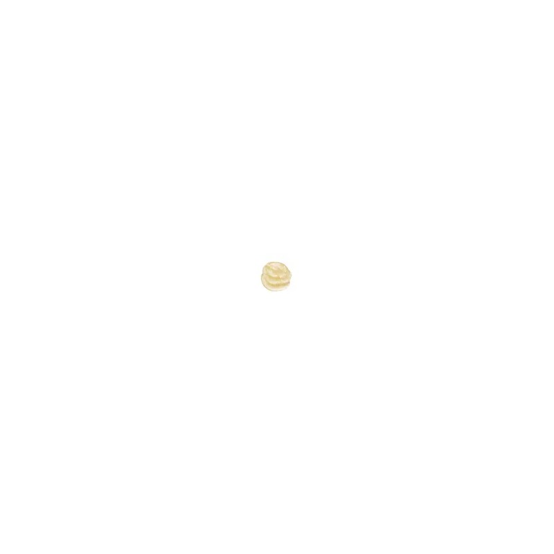 네이처리퍼블릭 [2026 Monde Selection 11-Year Award Winner] Ginseng Royal Silk