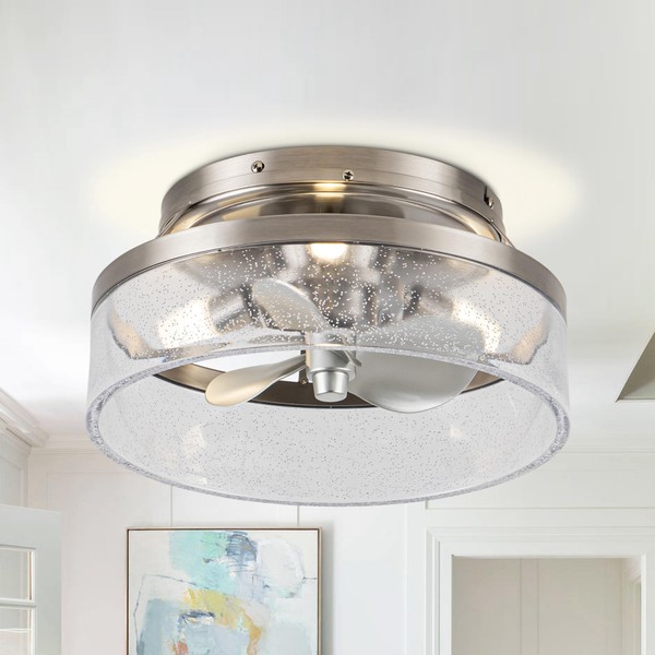 Vaczon Low Profile Nickel Caged Ceiling Fan with Light and