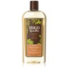 Hugo Naturals, Shower Gel, Creamy Coconut, 12 fl oz (355