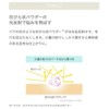 macchialabel Machia Raybell Moist Powder Foundation (Pink Natural)