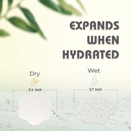 60-Count Compressed Facial Sponges, 100% Natural Cosmetic Spa Sponges for Facial Cleansing, Exfoliating Mask (White Flower)