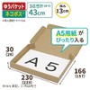 Earth Cardboard, Cat Post, Box, A5, 1.2 inches (3 cm),