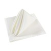 Cloth Napkins 17x17 inch Washable Polyester Dinner Napkins Soft Table
