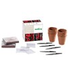 Romberg SPICY-Box Chilli & Pepper Propagation Set, Starter Set for