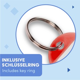WINTEX Key Ring with Tags - 100 pcs - Heavy Duty Plastic Fobs with Labels - Coloured Key Chain Rings for Organising, Travelling, or Pets - Red