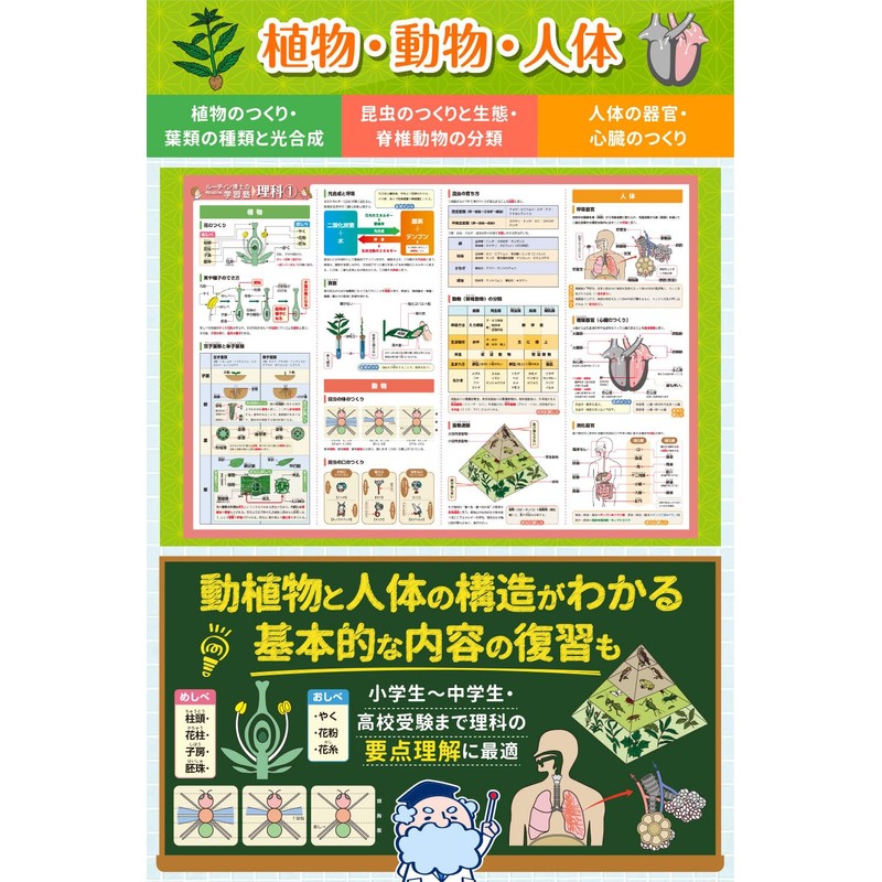 Dr. Routin's School Cram Bath Poster, Middle School Exam, Science,