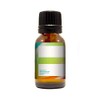 Mayan’s Secret- Cake - Premium Grade Fragrance Oil (10ml)