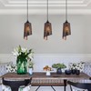 Shining gold Industrial Black Pendant Light Fixture Vintage Mini Black