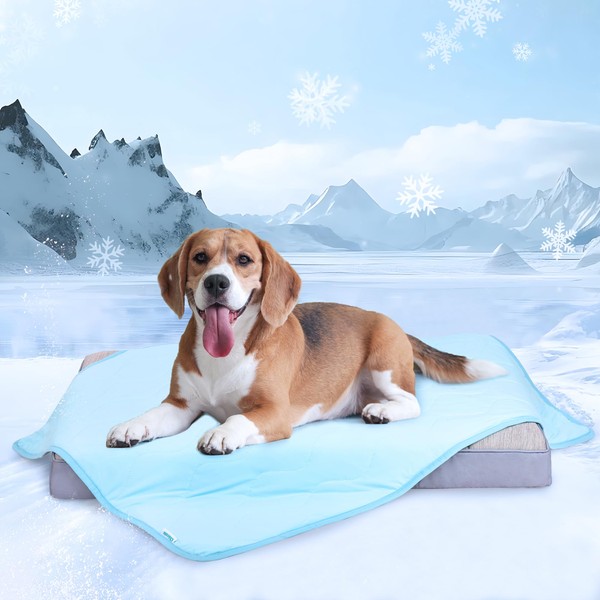 ZAKAPAWS Chicute Premium Cooling Blanket for Medium Dogs - Breathable