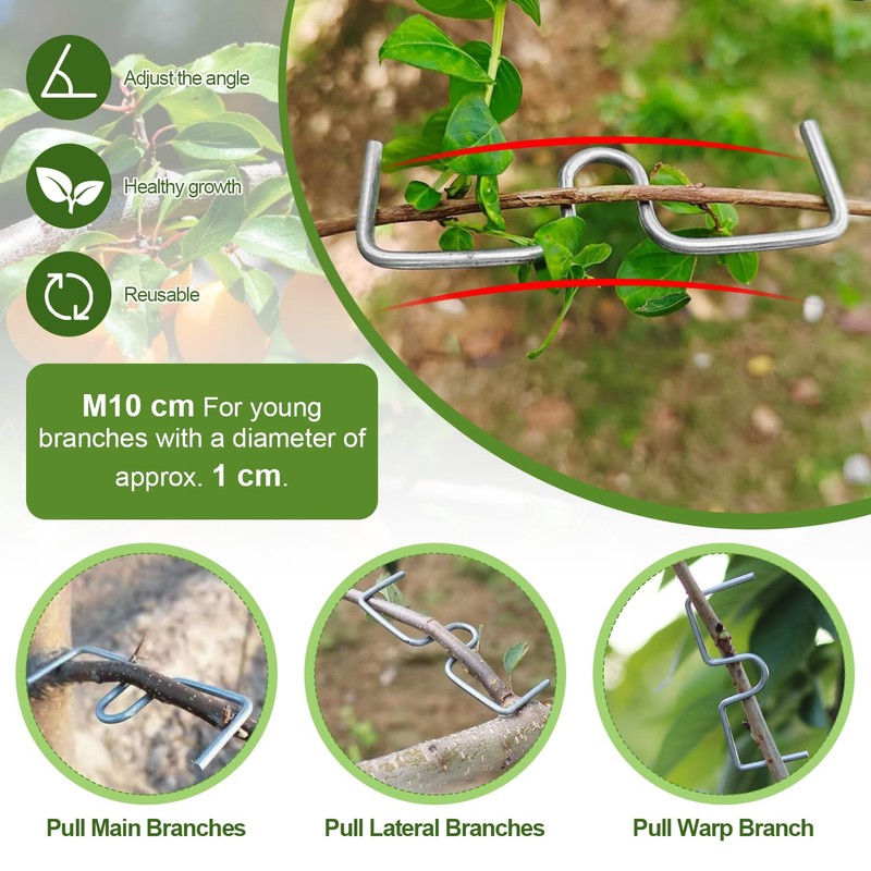 Suynauetev Branch clips for fruit trees