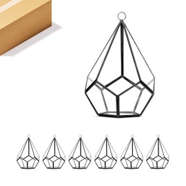 WGV Hanging Geometric Planter Terrarium Bulk Width 5.5" Height 8" Clear Glass Black Frame DIY Succulent air Plant Miniature Fairy Garden Windowsill Decor Teardrop 6 Pieces