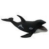 Orca Killer Whale | Marine Series | Ocean Animals Predator