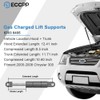ECCPP ECCPP Lift Supports Rear Trunk and Front Hood Struts