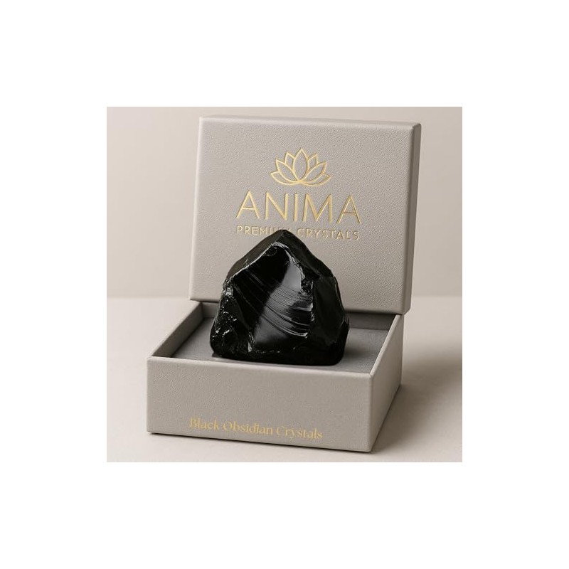 Anima Obsidian Crystal - Large 4-5 cm Jet Black Natural