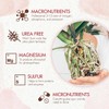 Orchid Plant Food (5 oz, 50+ Applications) - Bloom Booster
