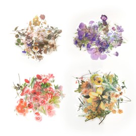 Andiker Pack of 160 Scrapbooking Stickers, Transparent Natural Themed Plant Stickers for DIY Crafts, Diary, Letters, Notebook and Calendar Decoration (b)