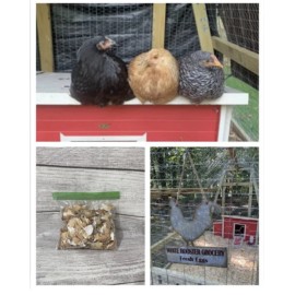 Homemade Egg Crushed Shells Brown Fertilizer Organic Calcium Eggshells Garden 1 pound - 1 pound