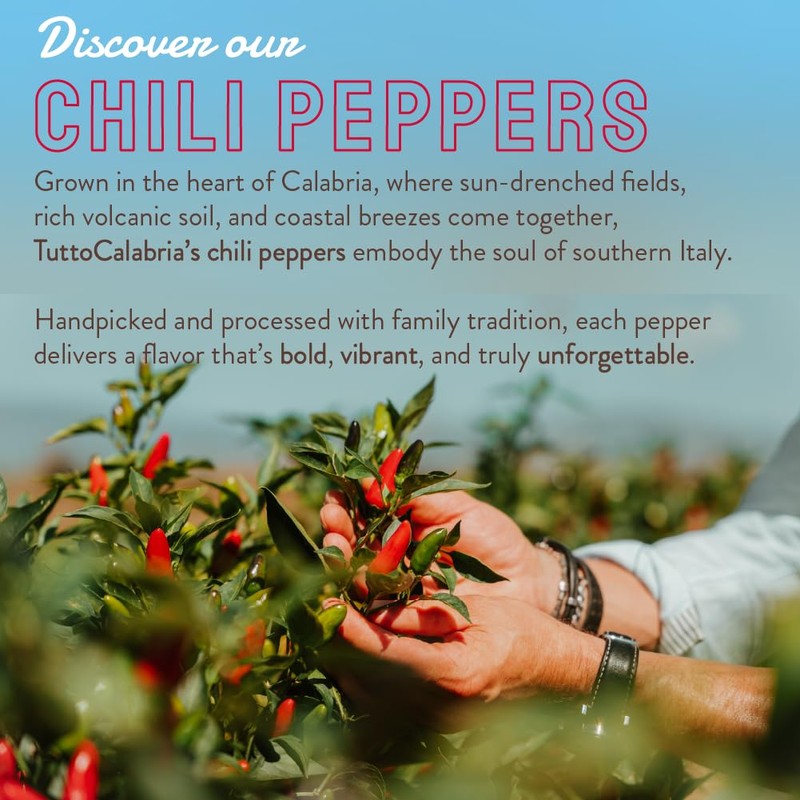TUTTOCALABRIA Round Calabrian Cherry Peppers in Oil, 10.2 oz (290 g), Extra