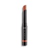 Cyzone Studio Look Labial en Barra Supermate Lips Acabado Powder