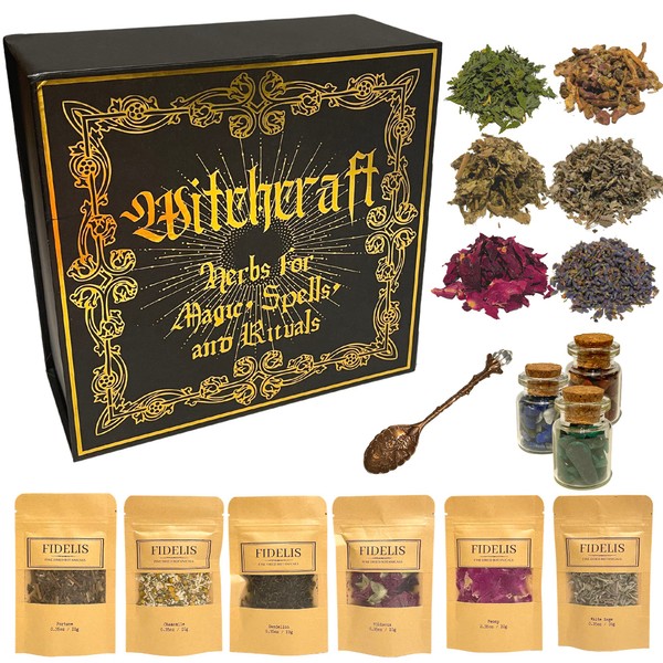 Witchcraft Supplies and Herbs for Spells 25 Premium Fine Dried Botanicals (Large Size) and 3 Crystal Stones for Wicca and Pagan Rituals, Alter Supplies, Magic Spells Green Witchtok by Fidelis