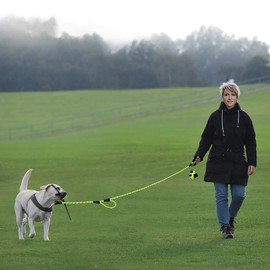 Strong Rope Dog lead 6ft Long with Two Padded Handles,Heavy Duty,Reflective Double Handle Training Dog Lead for Large Dogs or Medium Dogs,Dual Handles Leash(Green)