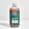 Paul Mitchell Tea Tree Special Color Shampoo Unisex 33.8 oz