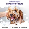 Calming & Deodorising Dog Shampoo by Buddycare | Lavender Scented