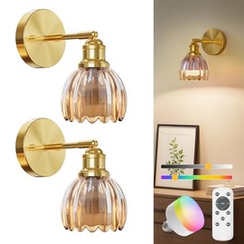 NIORSUN Battery Operated Wall Sconce, Amber Wireless Rechargeable Wall Lights with 5200mAh Dimmable Detachable Bulbs and Remote, 9 Colors Vintage Sconces Wall Decor for Bedroom Living Room Hallway